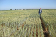 10. Ensayos ME4 en plano