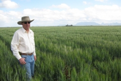 15. Karim en ensayos