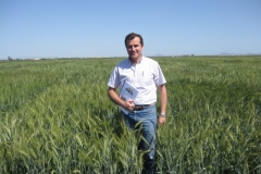 2. Ensayos harineros ME1