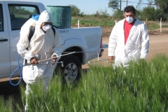 22. Tratamiento fungicida