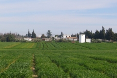 10. Panoramica ensayos 2010