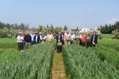 12. Consejeros junto a triticales