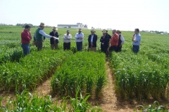 13. Visita del Consejo a ensayos