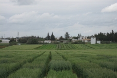 17. Panoramica bandas