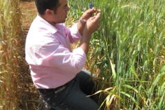 24. Toma de muestra en Somateria