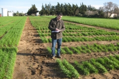 4. tomando datos en vivero