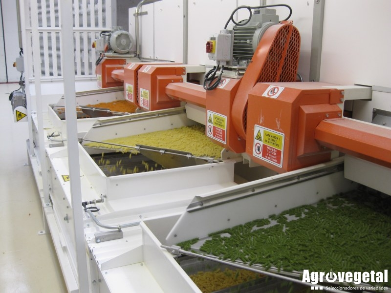 5. Espirales de colores