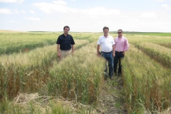 12. Visita ensayo Casalilla