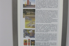 18. Alianza Gallo - Agrovegetal