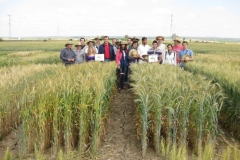 7. Visita alumnos Universidad Sevilla