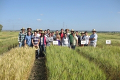 8. Students fron University Sevilla visiting Bioexploit trials