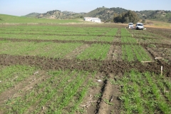 1. ensayos olvera en febrero