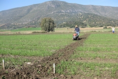 2. corte de pasillos