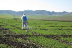 4. control de hierbas