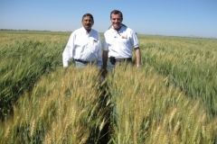 10. visita a programa dr. singh