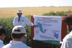 4. ravi singh explica su programa