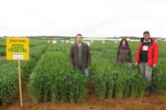 10. tecnicos agrovegetal