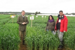 11. esperando los visitantes