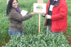 18. cartel en paterna