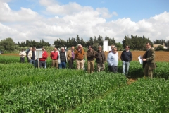 21. llegada del consejo