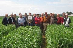 23. consejo en conil