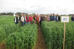 24. foto con bondadoso