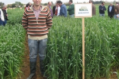 25. soto y bondadoso