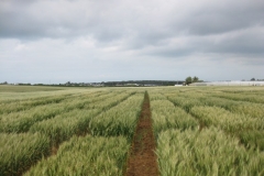 27. ensayos en abril