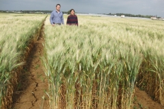 32. don sebastian en ensayos