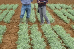 37. toma de datos ii