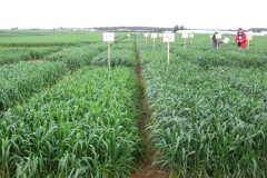 9. preparacion de la visita