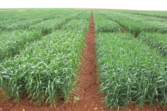 12a. don sebastian y jb1