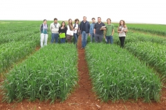 12b. visita etsiam junto a tritordeos