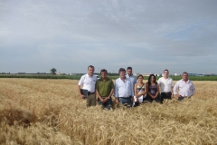 34. reunion de tecnicos