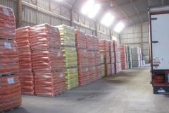 4. semillas para siembra 2010-2011