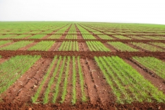 7. corte de pasillos