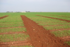 9. pasillos en ensayos