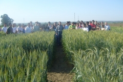 26. visita escuela ii