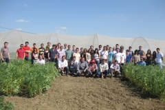 37. visita etsia ensayos solibam