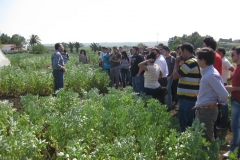 38. visita solibam ii