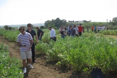 39. visita solibam iii