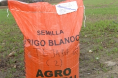 4. saco prebase tejada