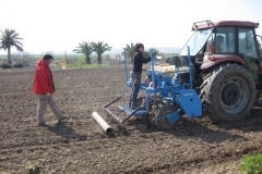 49. sembrando garbanzo italica