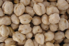 50. garbanzo italica