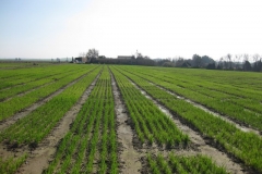 6. ensayos tejada en enero