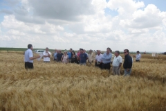 60. visita a ensayos agrovegetal