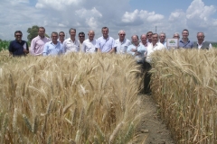 62. escacena 19-5-11 099