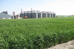 10. prebase de tha 1802