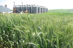 12. silos san dionisio