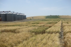 18. ensayos y silos